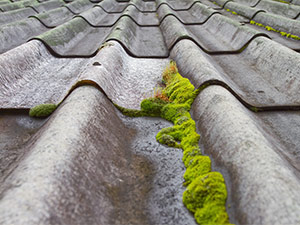 moss on a roofing system 