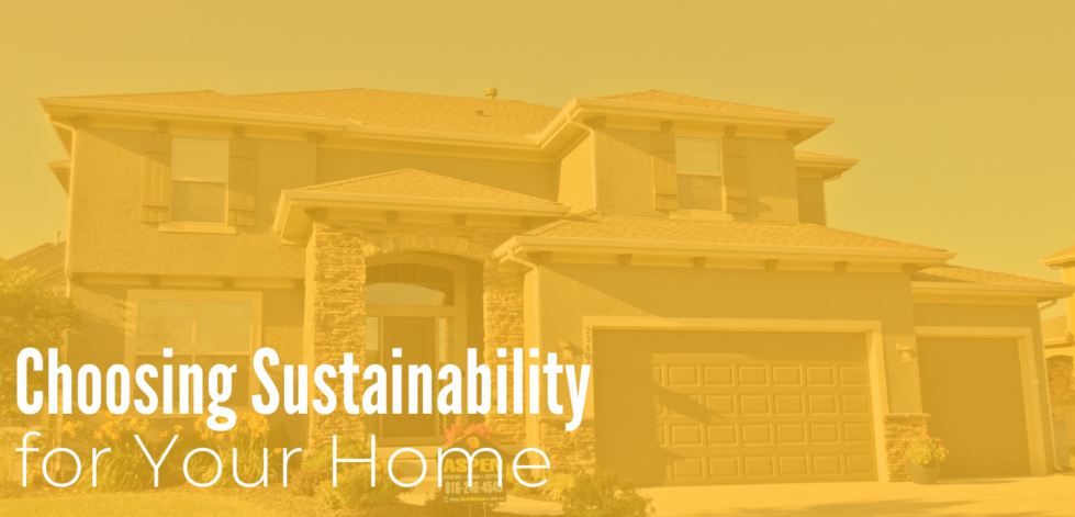 Choosing Sustainability For Your Home