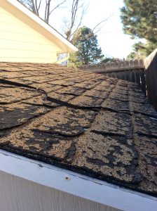 5 Reasons to Replace Your Roof