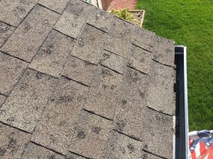 5 Reasons to Replace Your Roof