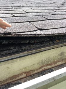 horrible state of curled shingles 