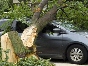 Understanding-Your-Warranty-