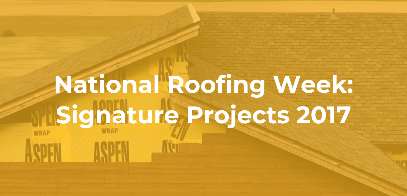 nature-Projects-2017