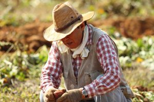 Guide to Outdoor Heat Safety