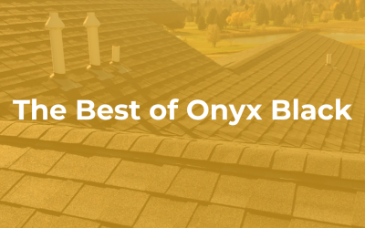 The Best of Onyx Black
