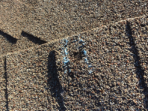 What to Expect During Your Roof Inspection