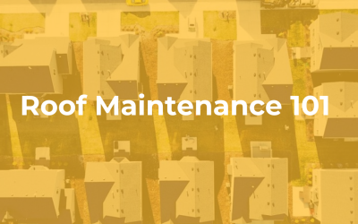 Roof Maintenance 101 