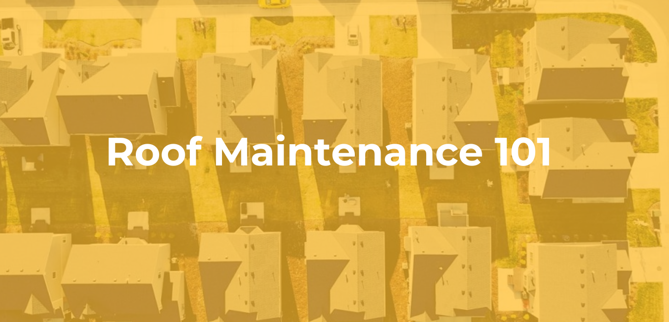 Roof Maintenance 101 