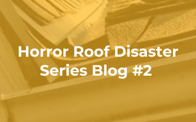 Horror Roof Disaster Series Blog #2 