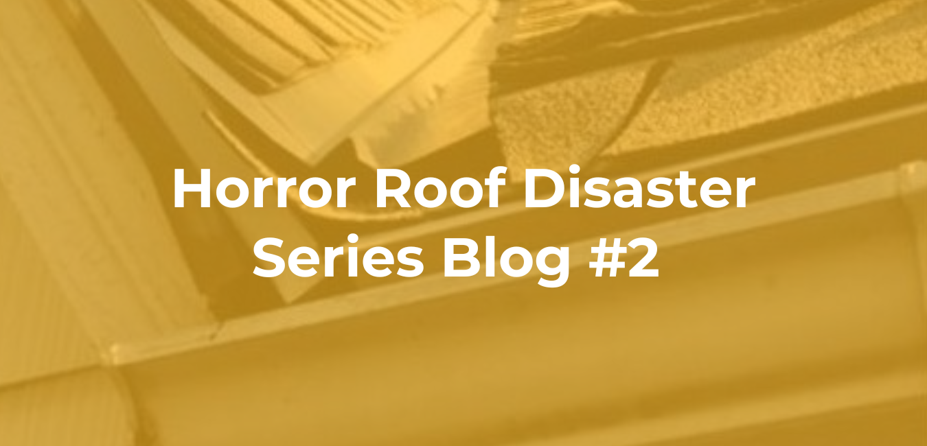 Horror Roof Disaster Series Blog #2