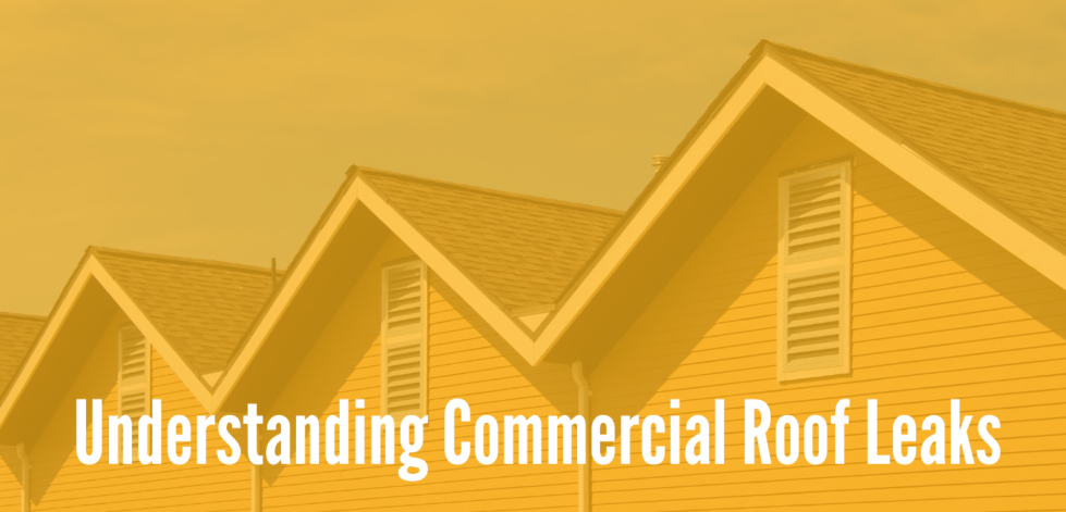 Understanding Commercial Roof Leaks