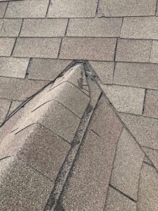 Horror Roof Disaster Series Blog #3