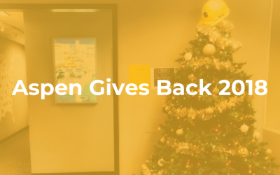 Aspen Gives Back 2018
