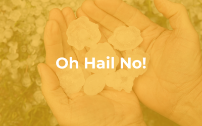 Oh Hail No!
