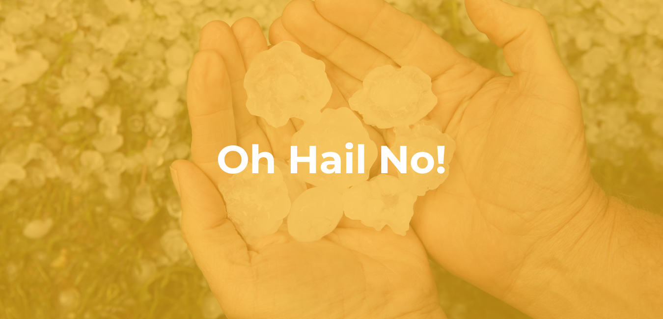 Oh Hail No!