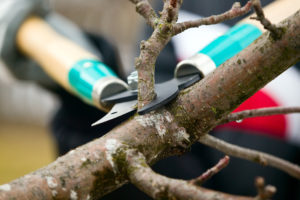 4-Fall-Home-Maintenance-Tips