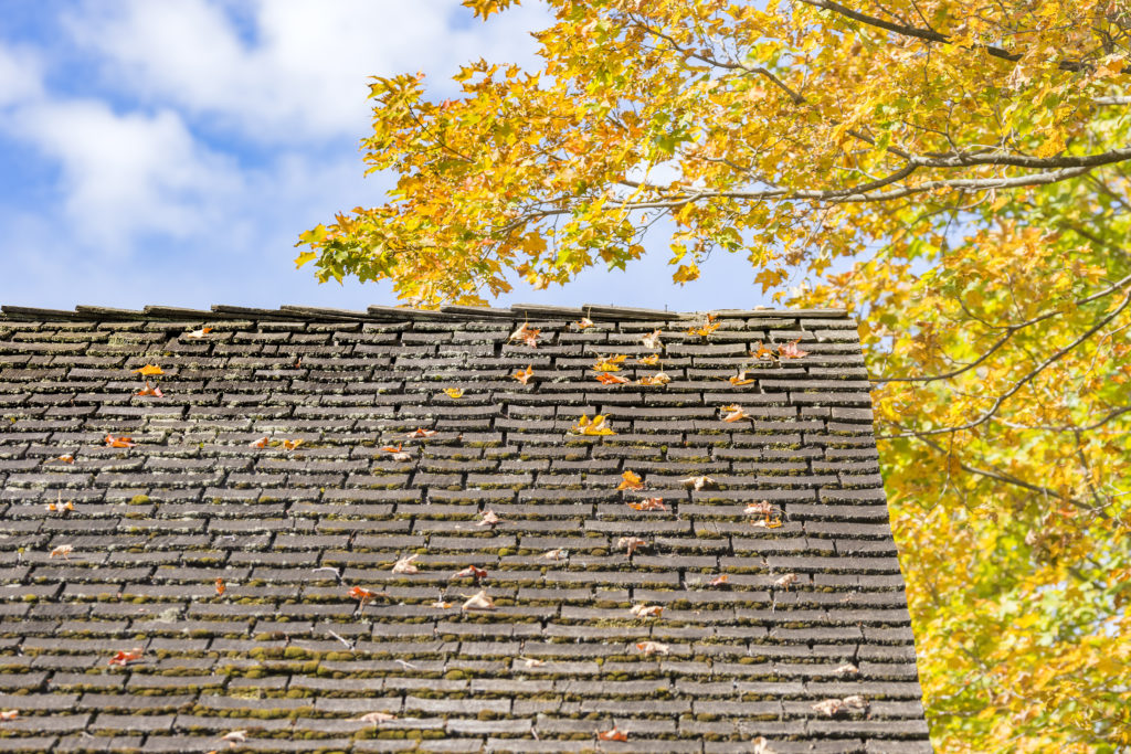Fall Roof Inspection