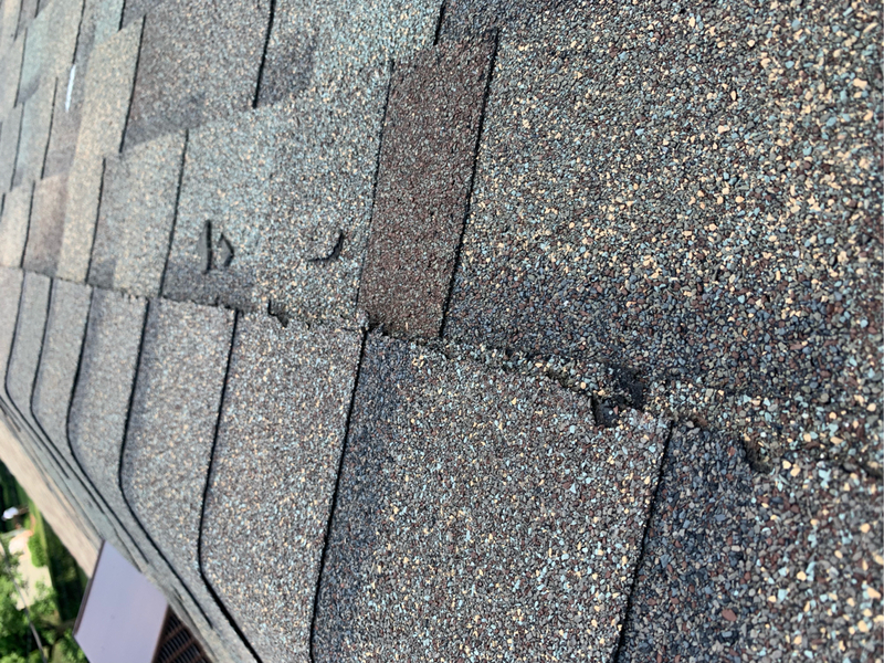 Check Your Roof Shingles For Damage