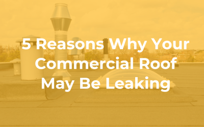 5 Reasons Why Your Commercial Roof May Be Leaking