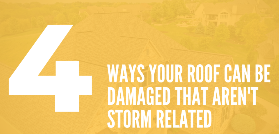Ways Your Roof Can be Damaged