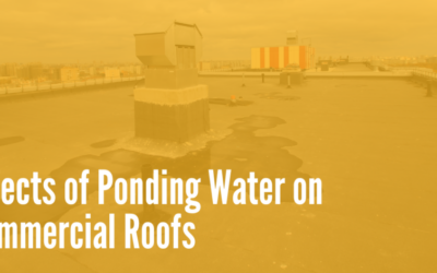 The Effects of Ponding Water on Commercial Roofs