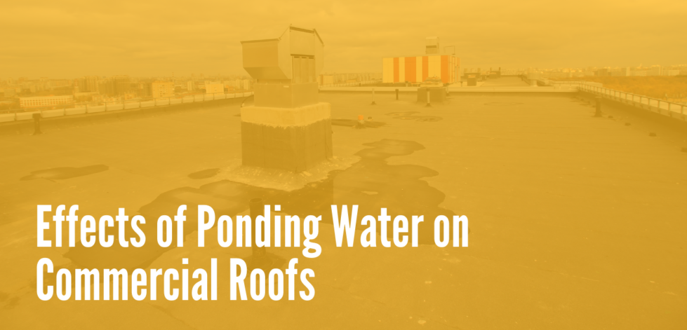 The effects of ponding water on commercial roofs