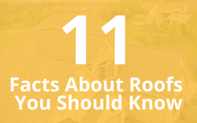 11 Facts About Roofs You Should Know