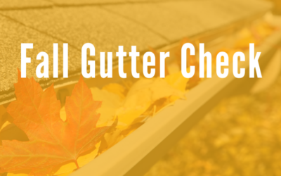 Fall Gutter Check