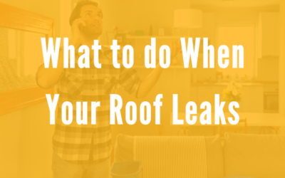 What to Do When Your Roof Leaks