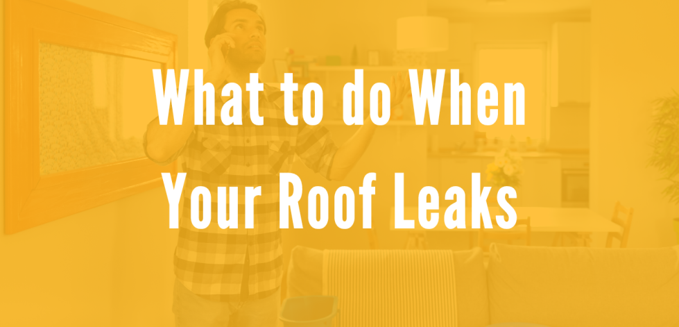 What to Do When Your Roof Leaks