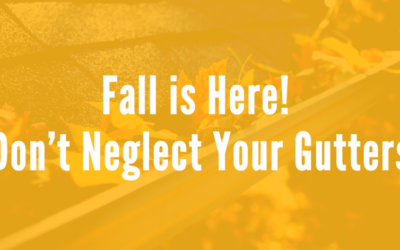 Don’t Neglect Your Gutters: A Guide to Cleaning and Maintenance