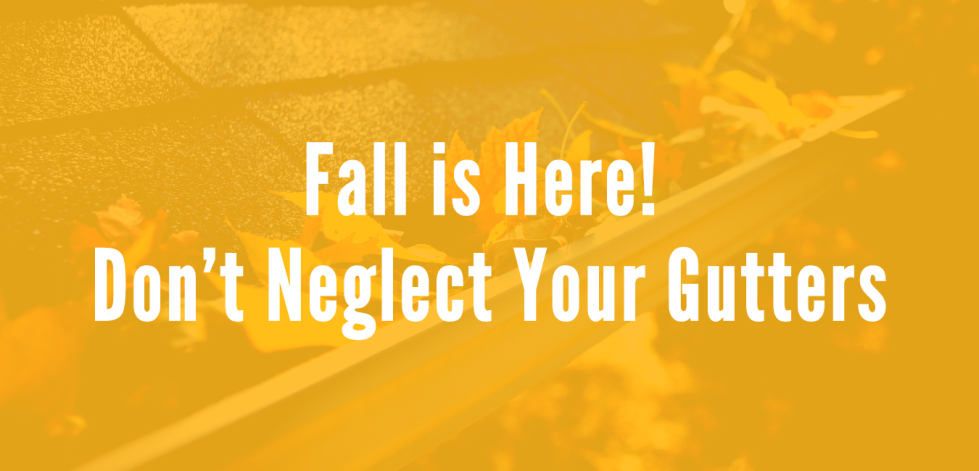 Don’t Neglect Your Gutters: A Guide to Cleaning and Maintenance