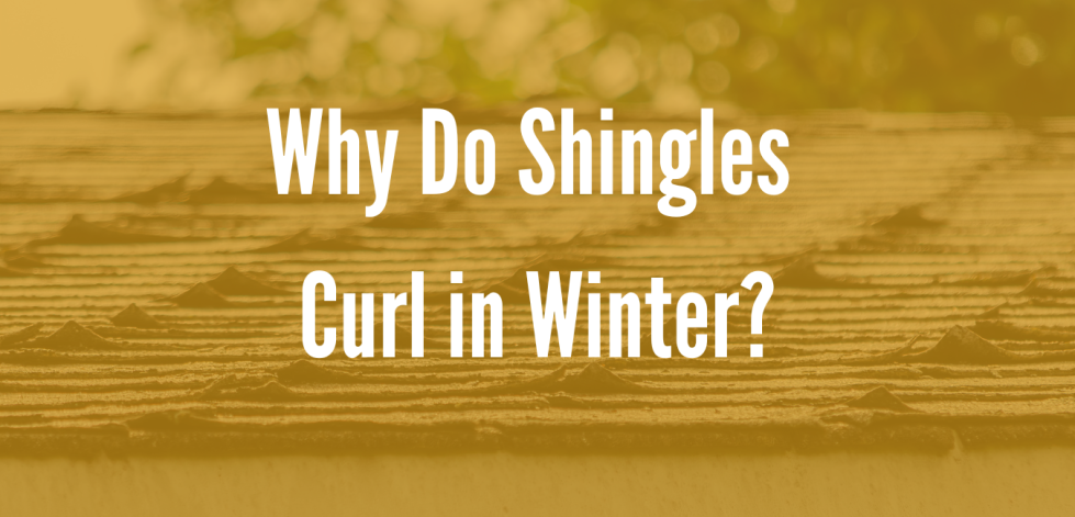 Why Do Shingles Curl in Winter?