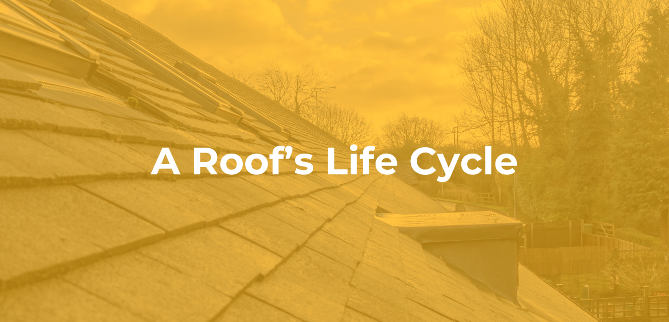A Roof's Life Cycle