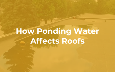 How Ponding Water Affects Roofs