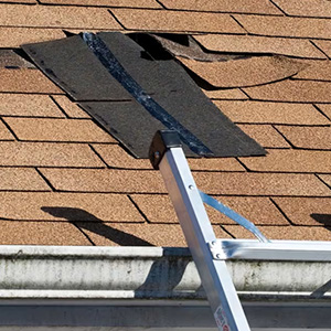 roof repair services in Omah