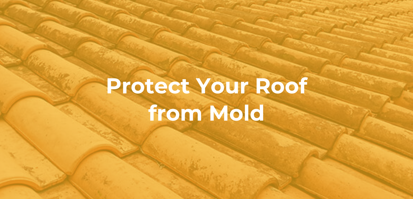 Protect Your Roof from Mold