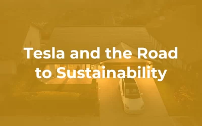 Tesla and the Road to Sustainability