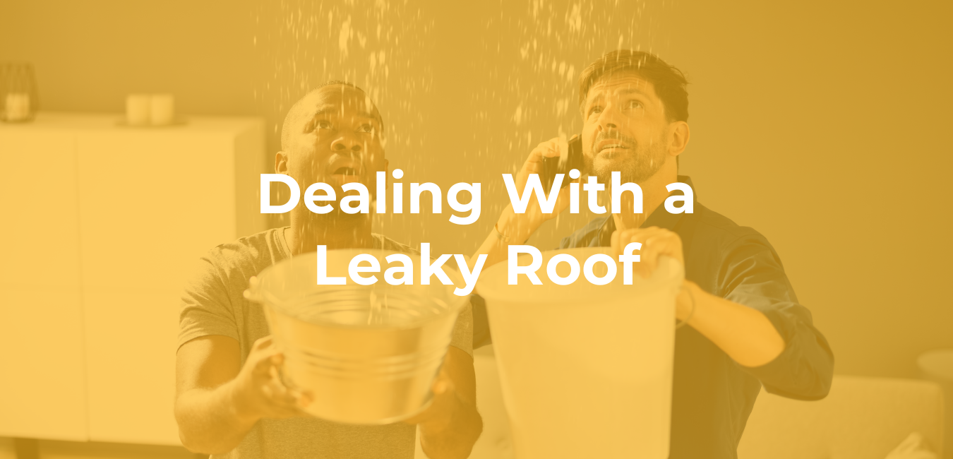 Dealing With a Leaky Roof Dealing With a Leaky Roof