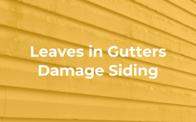 Leaves in Gutters Damage Siding