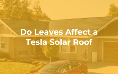 Do Leaves Affect a Tesla Solar Roof