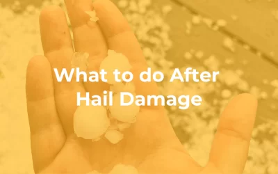 What to do After Hail Damage