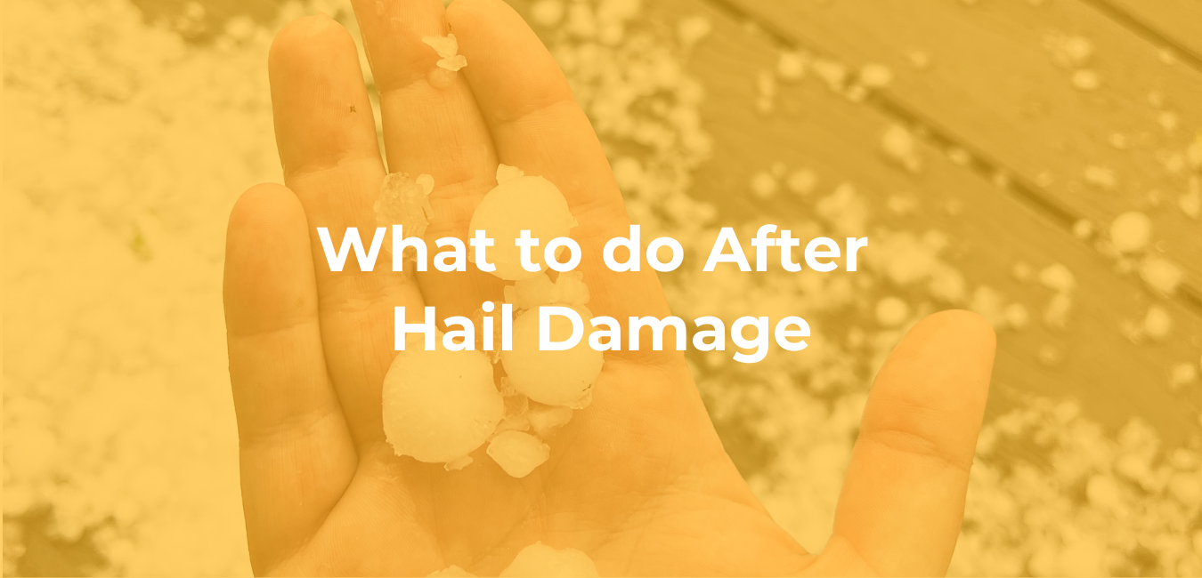 What to do After Hail Damage
